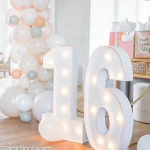 sweet 16 party ideas