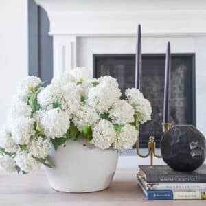 spring stems