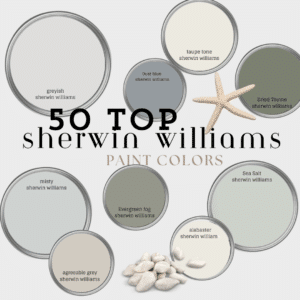 sherwin williams paint color