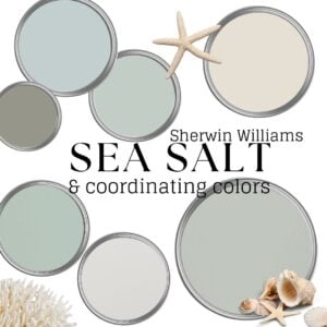 sea salt paint