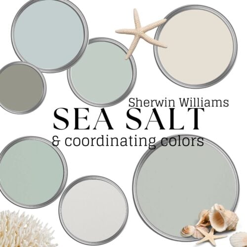 sea salt paint